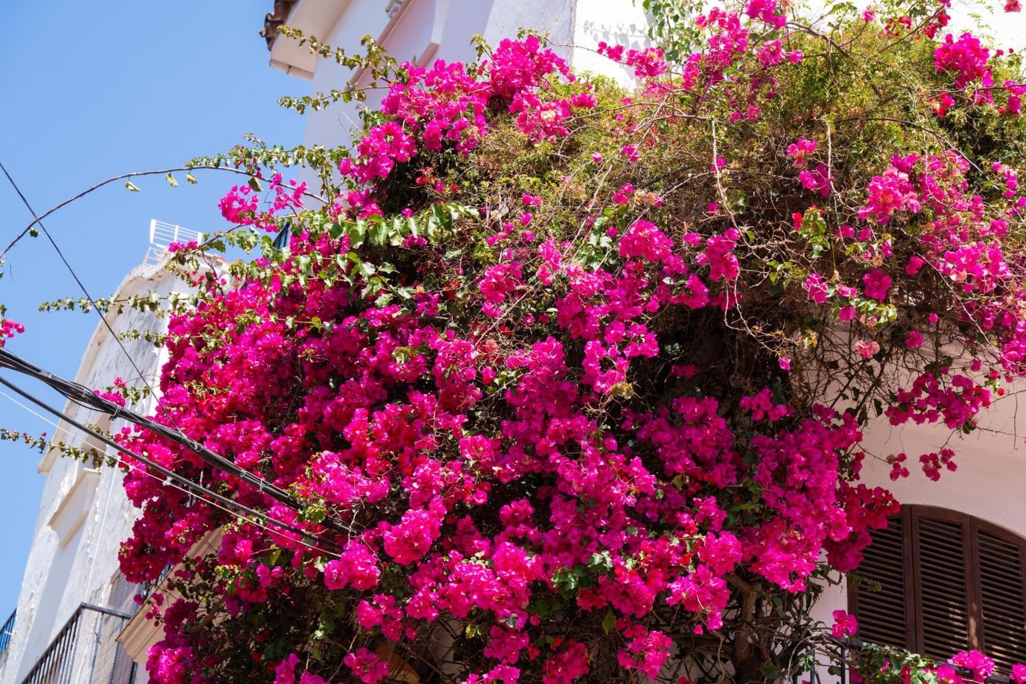 Jardines Del Mar 527 Apartment Marbella Exterior photo