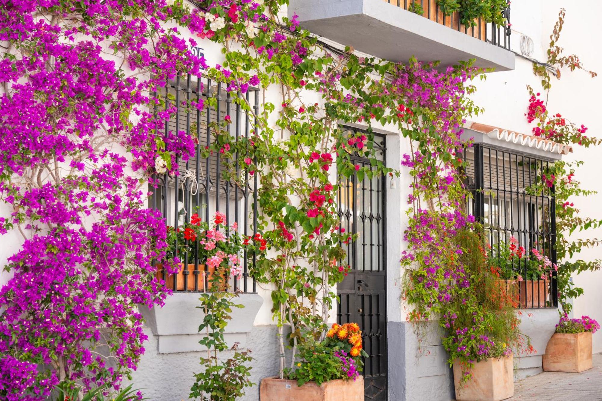 Jardines Del Mar 527 Apartment Marbella Exterior photo